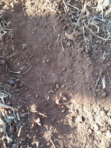 Fazenda c/ 830he, C/ 700he aberto, faz lavoura em 650he, Itiquira-MT - Foto 18