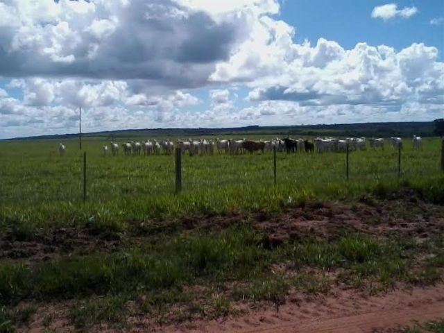 Fazenda c/ 1.350he c/ 80% formado, planta em 600he, Itiquira-MT, pego imóvel no PR - Foto 8
