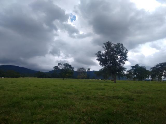 Fazenda 570 Hectares Grande Oportunidade - MT - Foto 6
