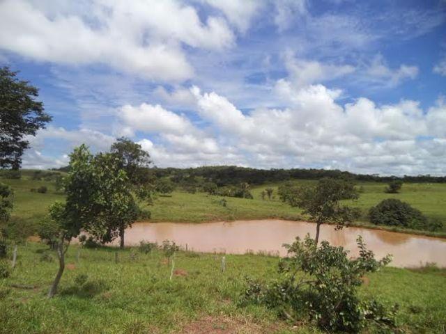 Fazenda c/ 3.480he c/ 80% formada, as margens da BR, Rondonópolis-MT - Foto 5