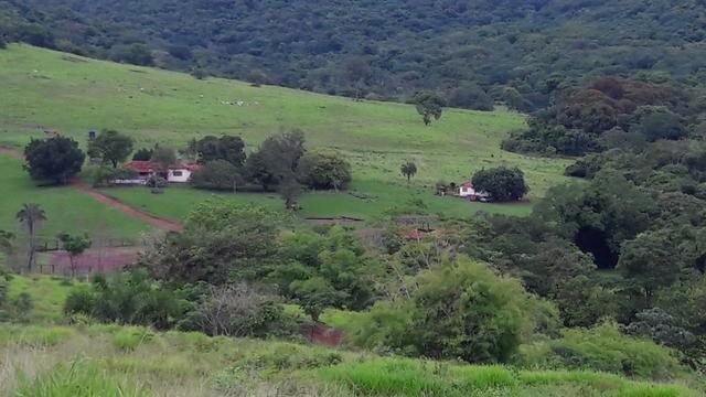 Fazenda c/ 1.060he, 836he formados, Pedra Preta/Itiquira-MT - Foto 4