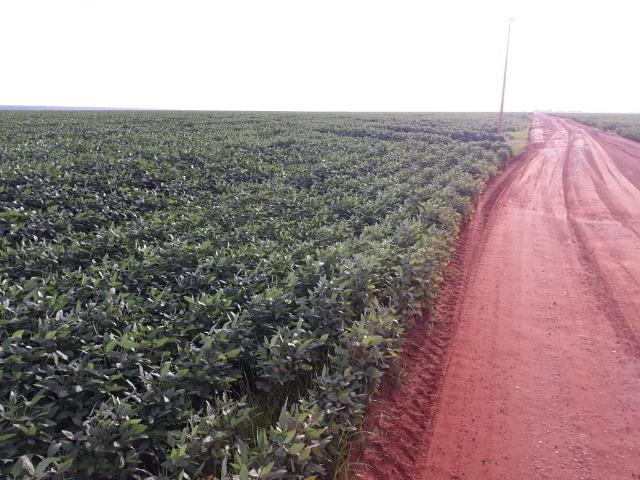Fazenda 6.600 Hectares Plantando Lavoura - MT - Foto 3