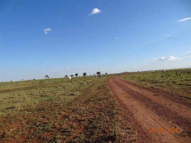 Fazenda c/ 1.700he c/ 80% formados, dupla aptidão, Itiquira-MT, pego 50% em imóvel no PR - Foto 4