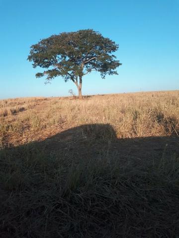 Fazenda c/ 830he, C/ 700he aberto, faz lavoura em 650he, Itiquira-MT - Foto 4