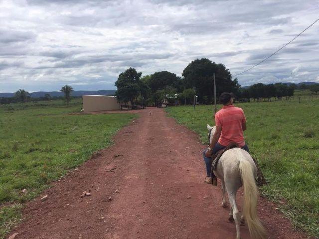 Fazenda c/ 300he, 90% aberto, a 85km de Cuiabá-MT, 40% em imóveis, Sto Antonio Leverger-MT - Foto 8