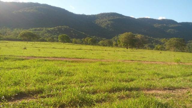 Fazenda 1.210 Hectares Excelente Pecuária - Cáceres - MT - Foto 8