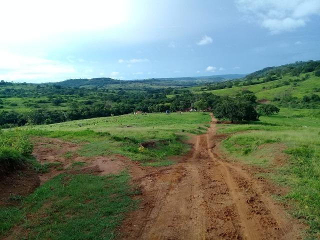 Fazenda c/ 1.060he, 836he formados, Pedra Preta/Itiquira-MT