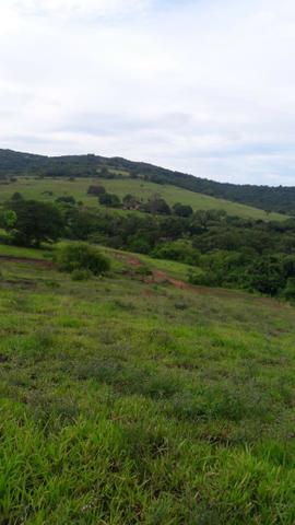 Fazenda c/ 1.060he, 836he formados, Pedra Preta/Itiquira-MT - Foto 7