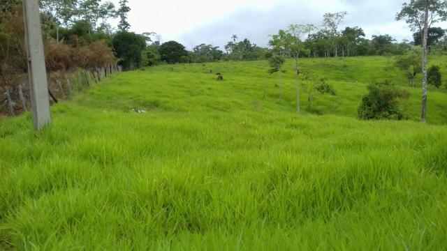 Fazenda em Porto Acre- AC - Foto 2