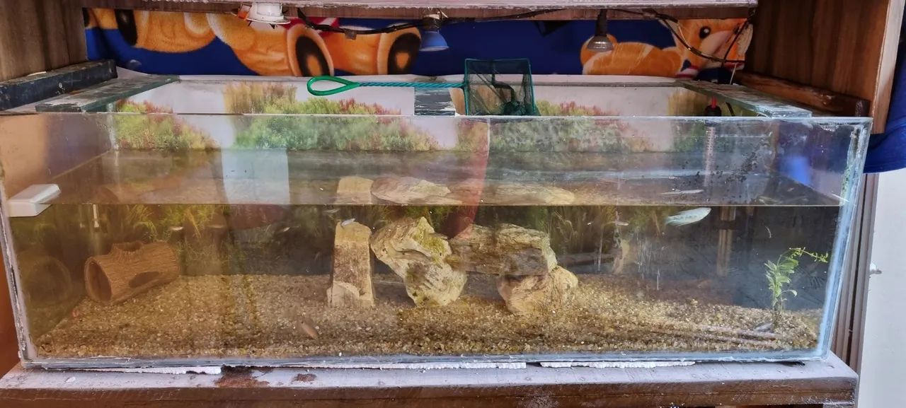 Aquário 220 Litros - Foto 3