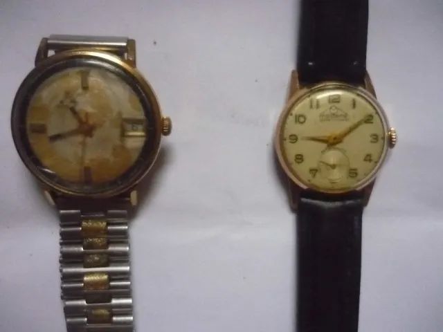 Mirvaine E Mondaine No Estado, Leia Campo Descrição Anúncio