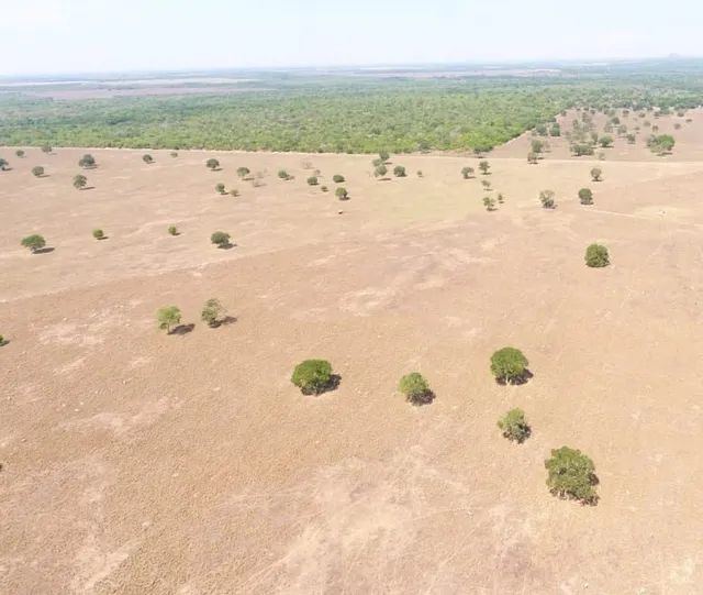 Fazenda em Silvanopolis. Dupla aptidão. - Foto 4