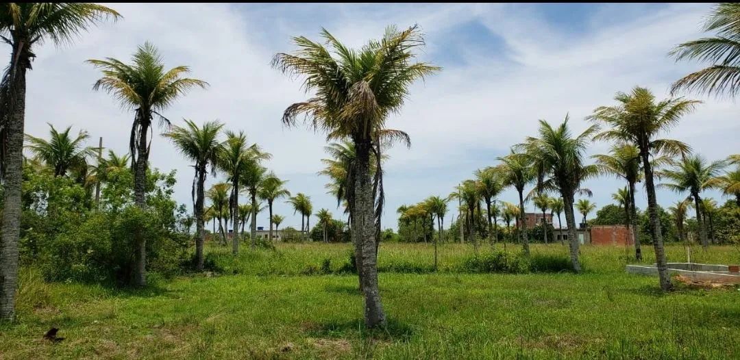 foto - Rio de Janeiro - Madureira