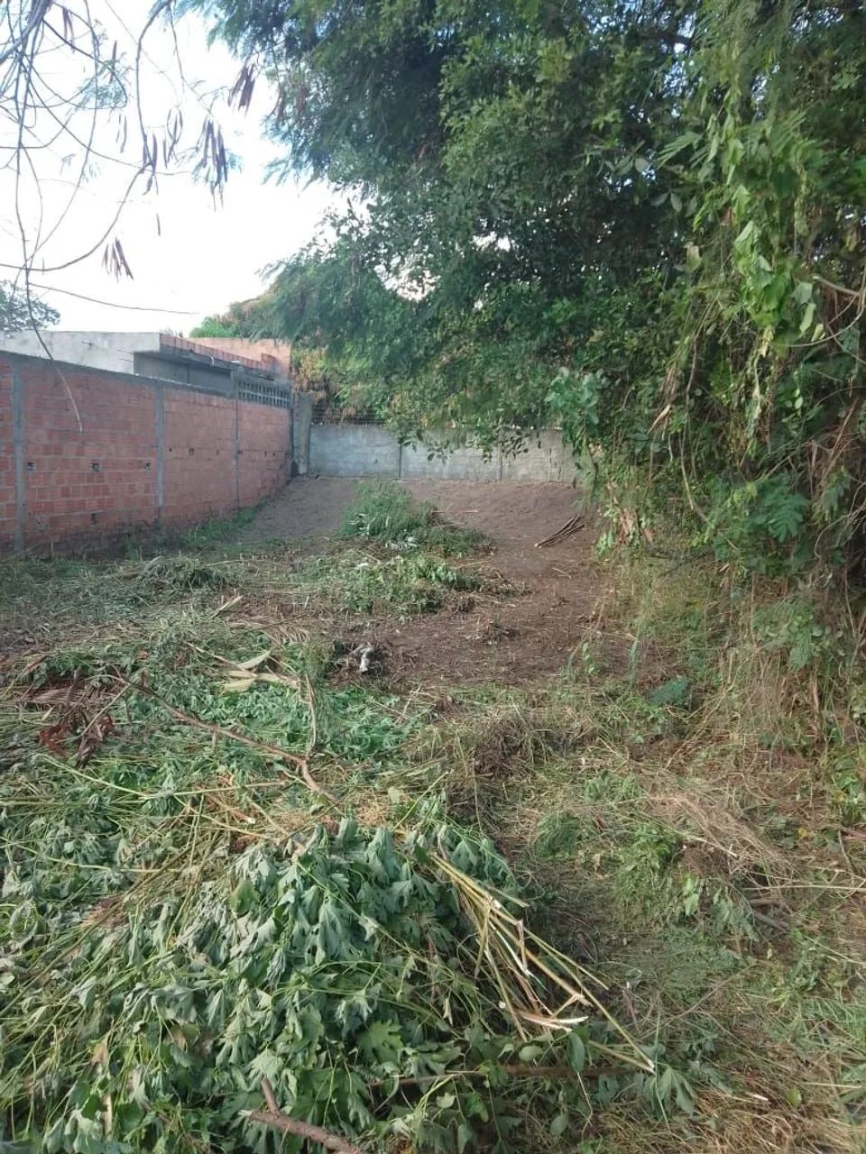 Foto - Camaçari - Barra do Pojuca (Monte Gordo)