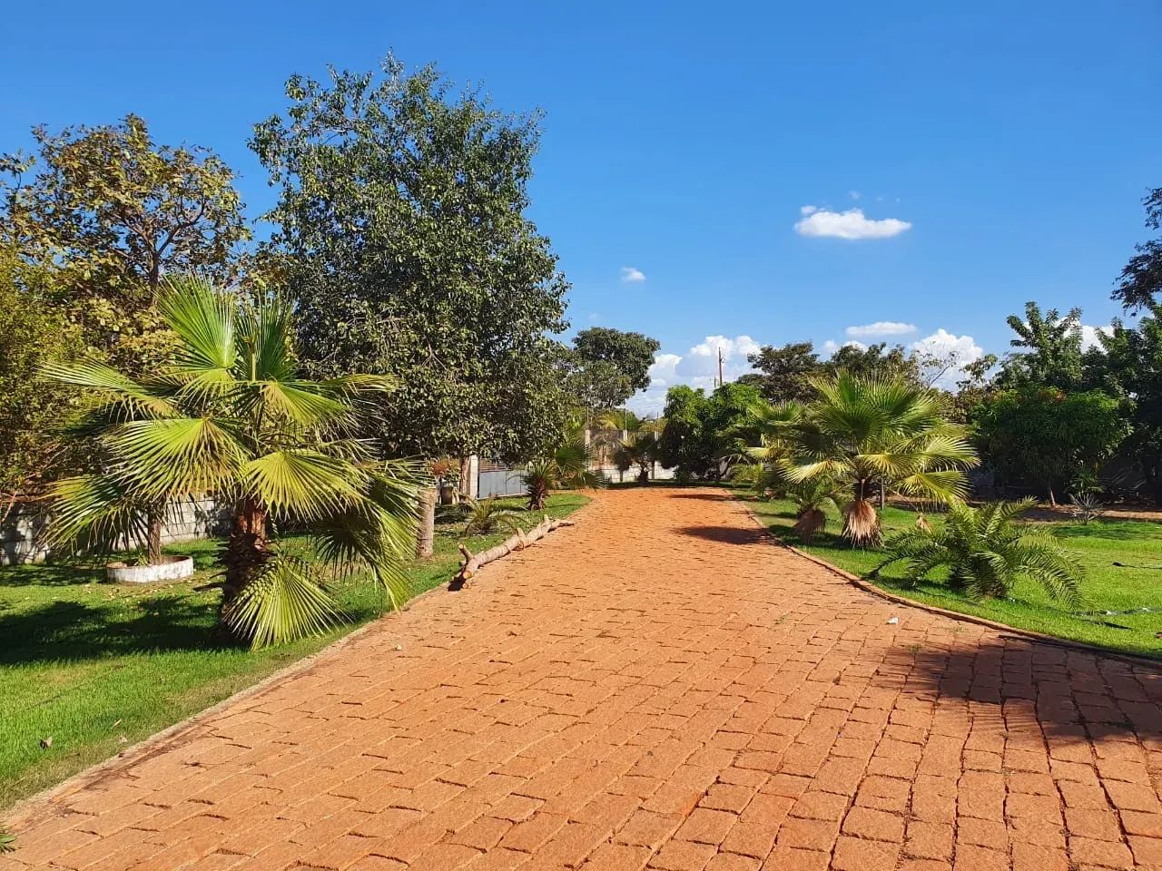 Casa à venda 3 Quartos, 2 Suites, 5 Vagas, 5000M², Jardim Florianópolis, Cuiabá - MT | Con - Foto 5