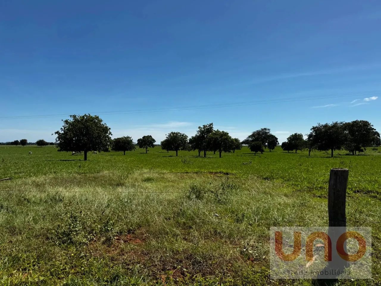 Fazenda para venda em Pontinha do cocho beira de asfalto em Camapuã - MS - Foto 4