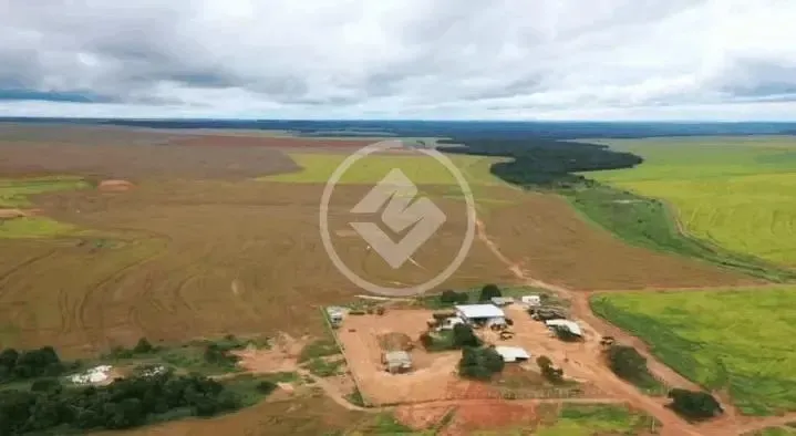 Fazenda Nova Mutum, 4.919 hectares, lavoura, soja MT - 249, 65 KM de Nova Mutum codigo: 43