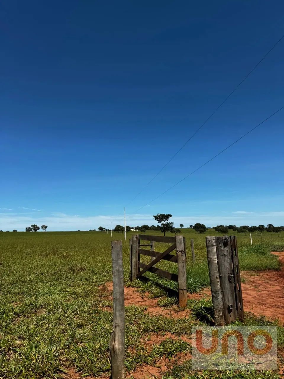 Fazenda para venda em Pontinha do cocho beira de asfalto em Camapuã - MS - Foto 5