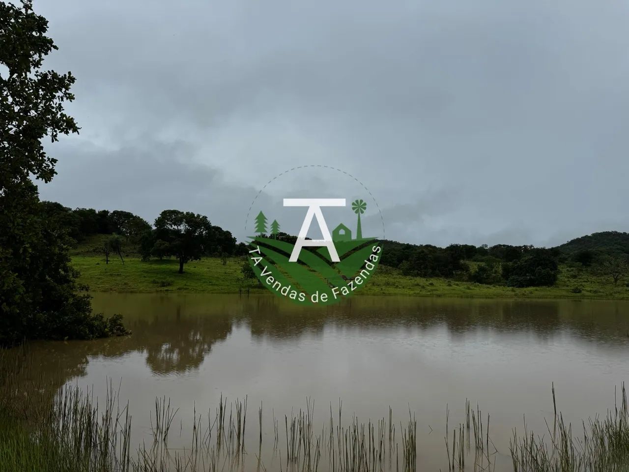 55 alqueires em Goias Velho - Foto 5