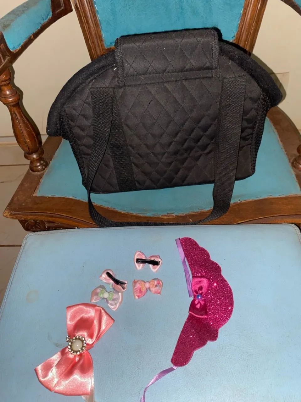 Bolsa de Transporte para Pets e Acessórios