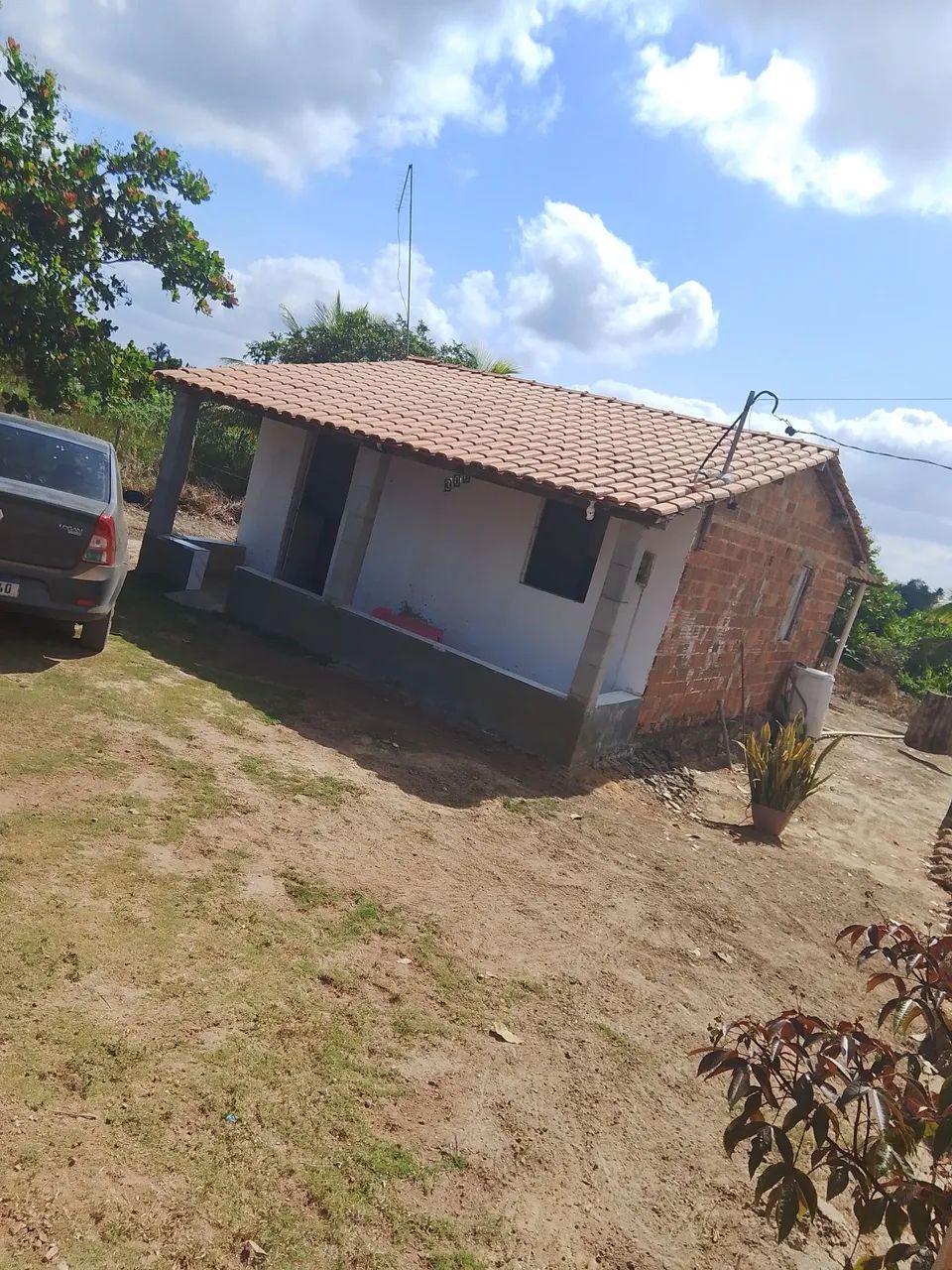 Foto - Salgado - 