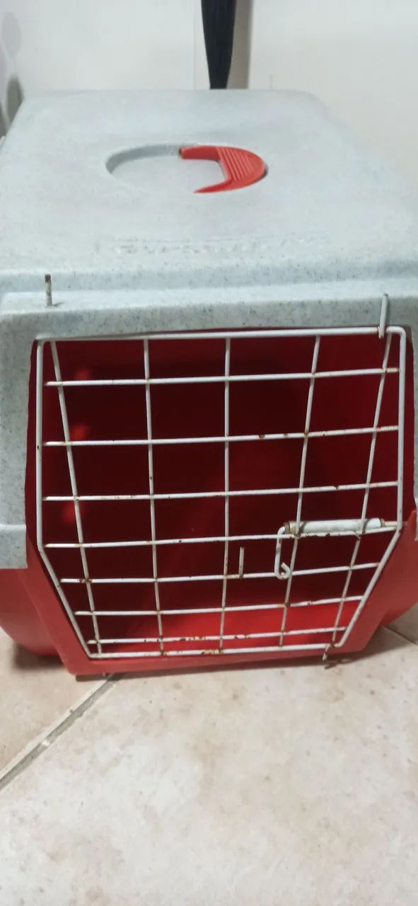 Caixa de transporte pet64309551819907120