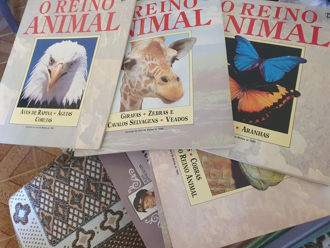 O Reino Animal - Aves de Rapina - Águias e Corujas - Foto 2