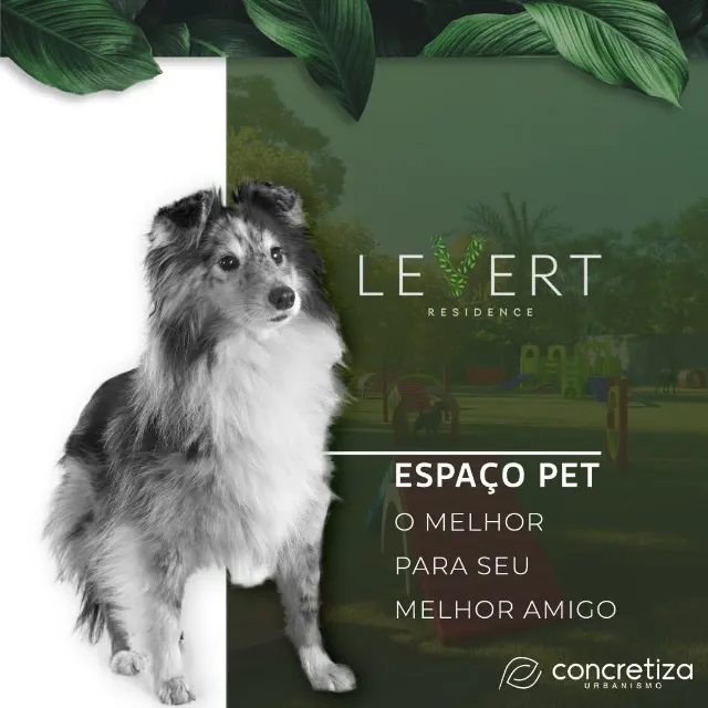 LEVERT urgente muito barato