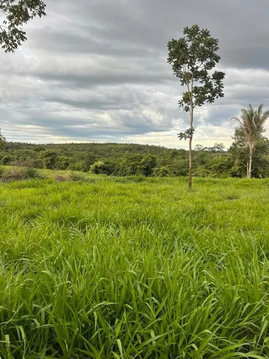 Vendo Fazenda 34.5 alqueires aceito imóveis em Palmas - Foto 3