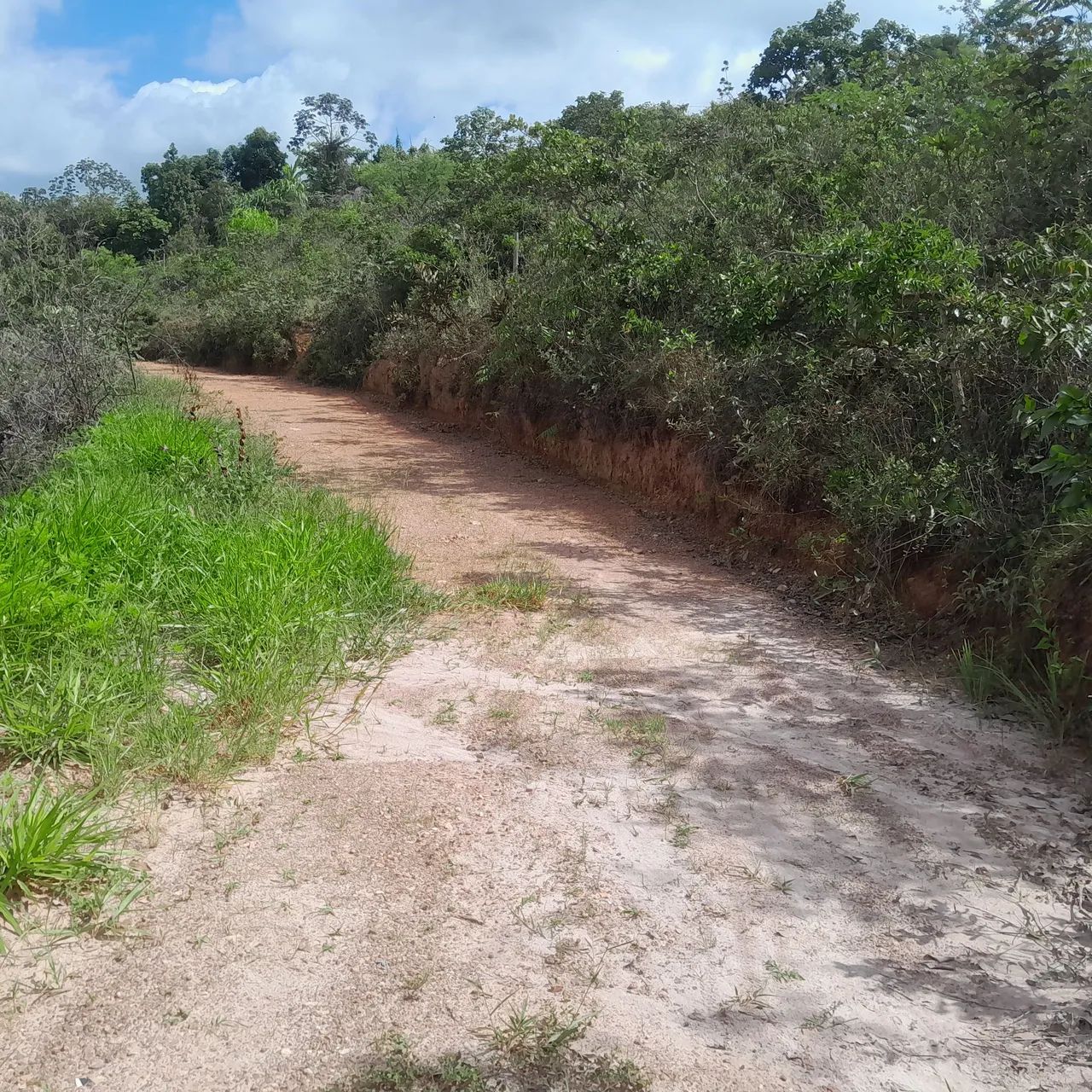 Terreno com vista espetacular em área verde - Foto 5
