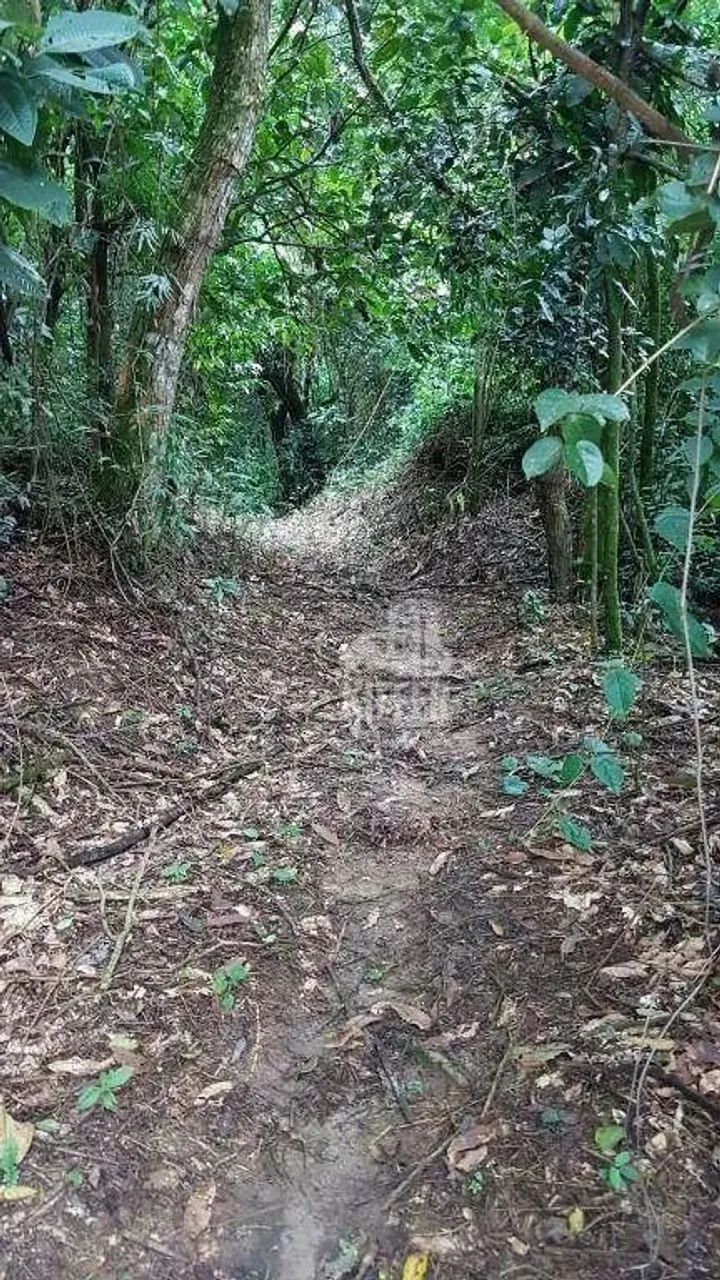 Fazenda à venda, 840281 m² por R$ 4.500.000,00 - Mazomba - Itaguaí/RJ - Foto 11