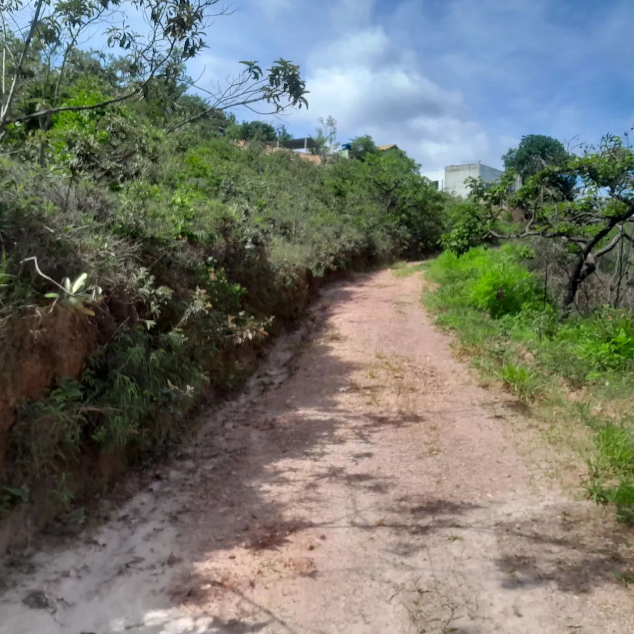 Terreno com vista espetacular em área verde - Foto 4