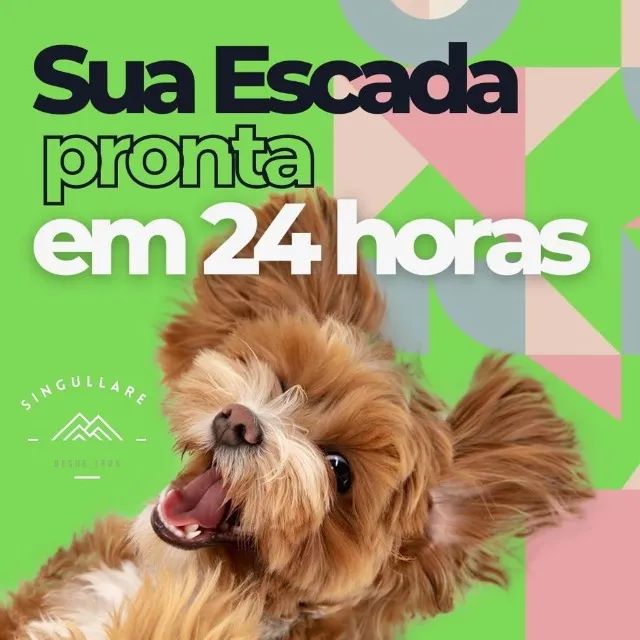ESCADAS DE FERRO - DESIGN, SEGURANÇA E ECONOMIA NO MESMO DEGRAU! - Foto 5