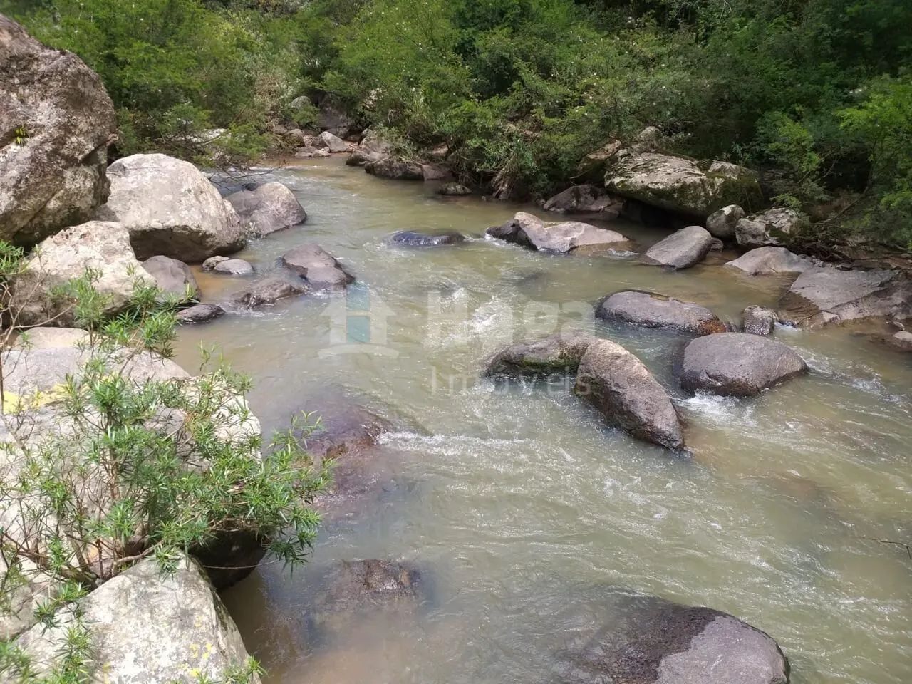 Chácara à venda em Angelina/SC - Foto 4