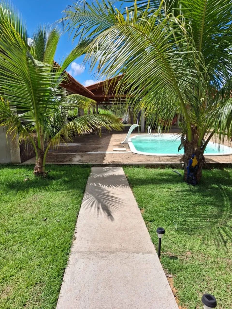 Vendo linda Chácara/Sitio de 6,5 Alqueires em Novo Acordo -Tocantins - Foto 5
