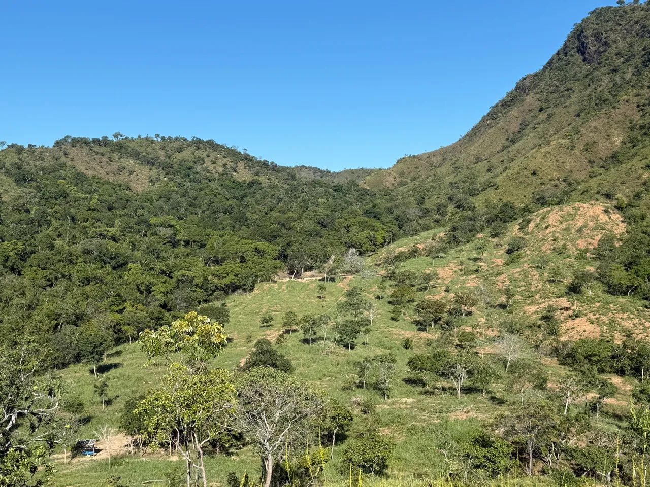 Vendo sítio de 24 alqueiros rico em água a apenas 18km da cidade de Minaçu Go - Foto 5