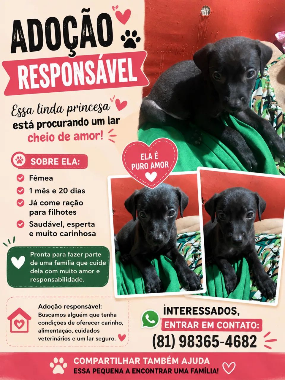 Adoção responsável 