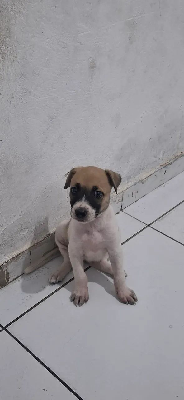 Doa se  - Foto 2