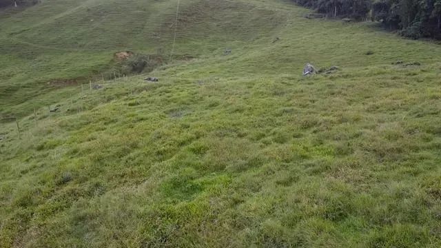 Sitio no Rio do Cedro - Águas Mornas - SC - Foto 3