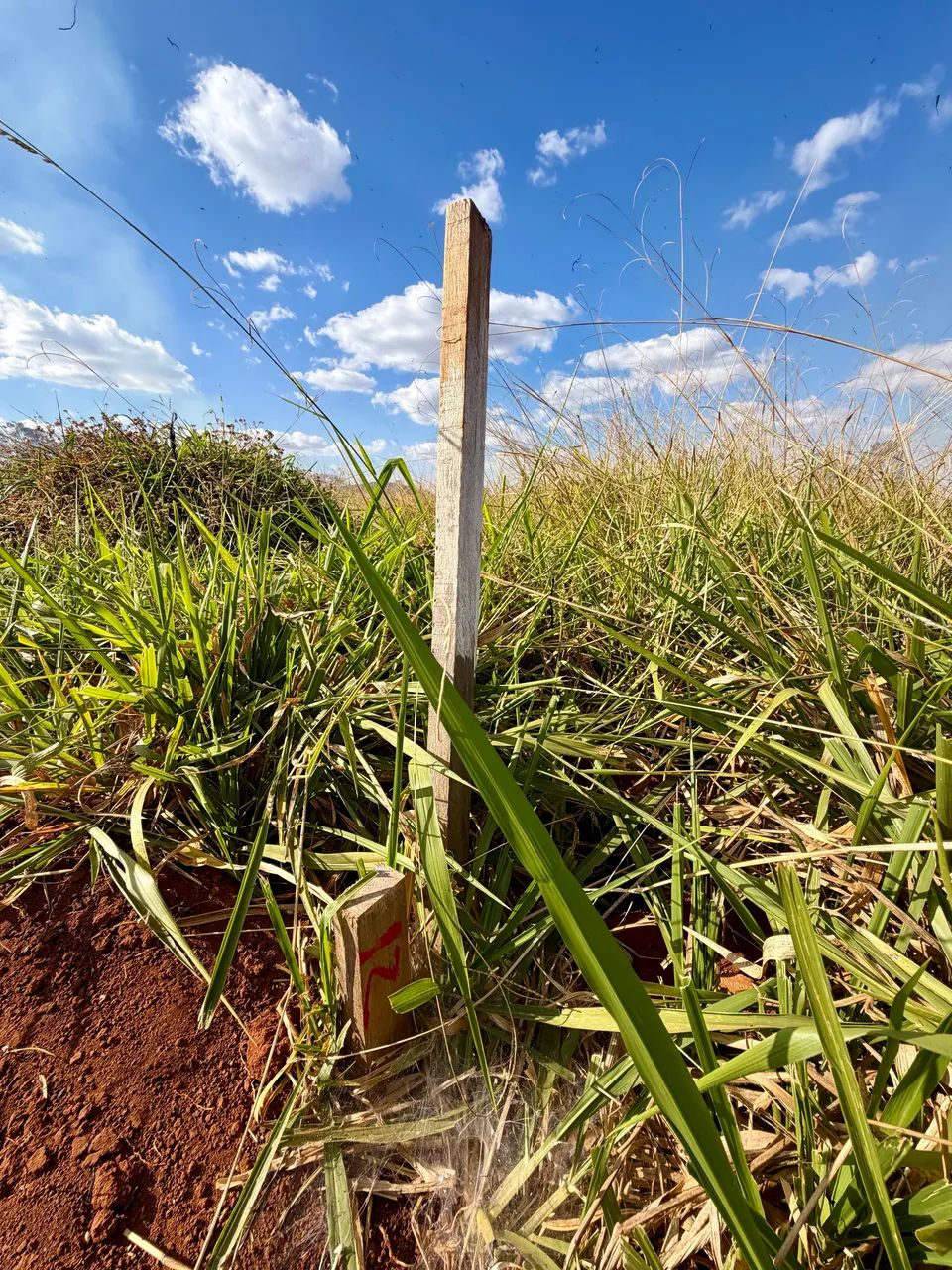 Última unidade - Chácara 1.000m2 em Bonfinópolis - Foto 5