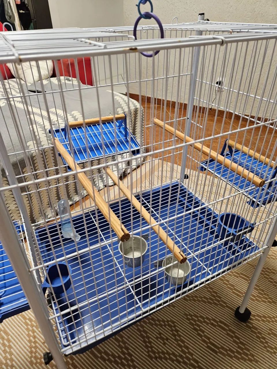 Viveiro grande em perfeito estado!! - Foto 2