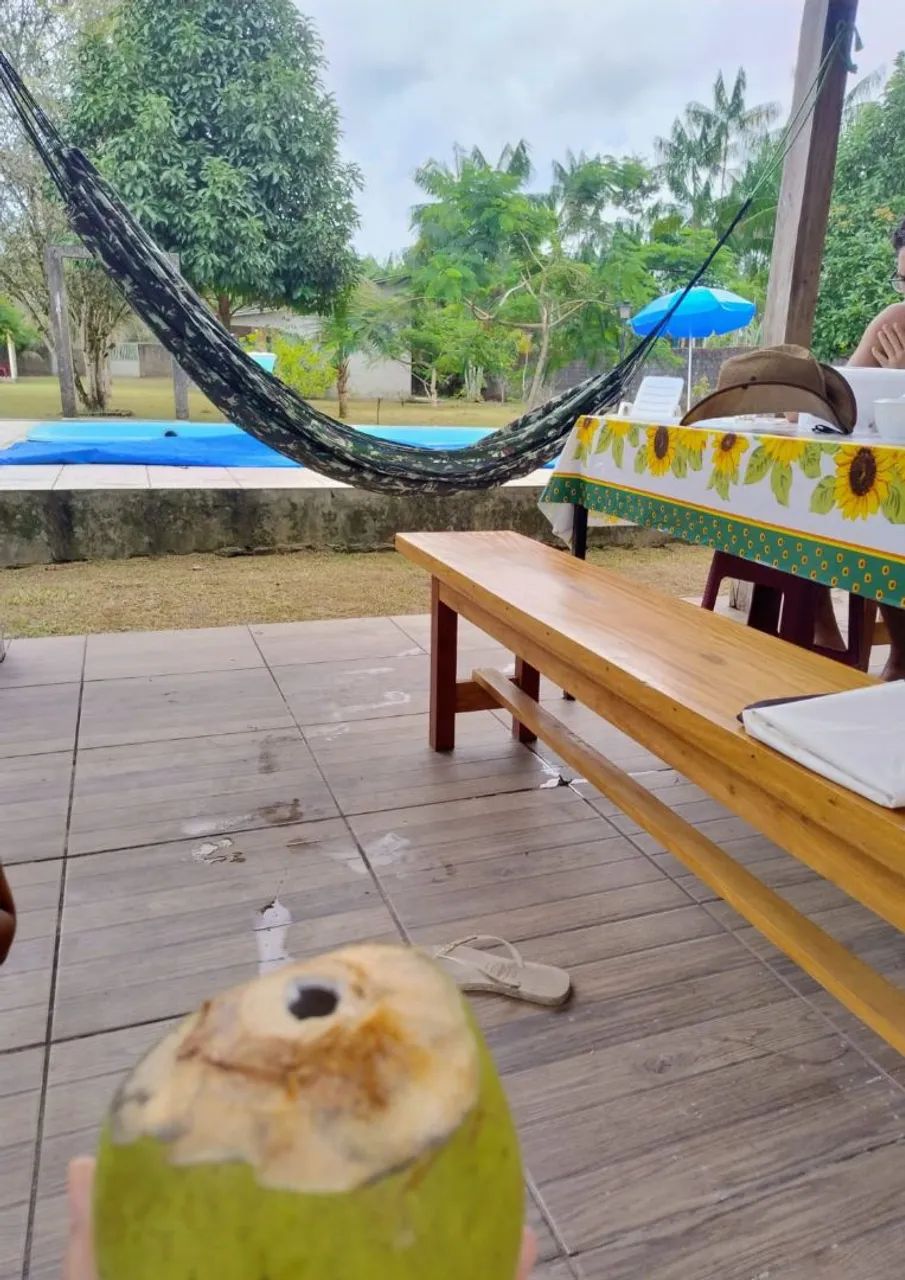 Vendo sítio aconchegante - Foto 3