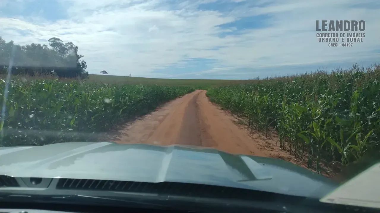 Fazenda para venda no PR. NOROESTE. - Foto 3