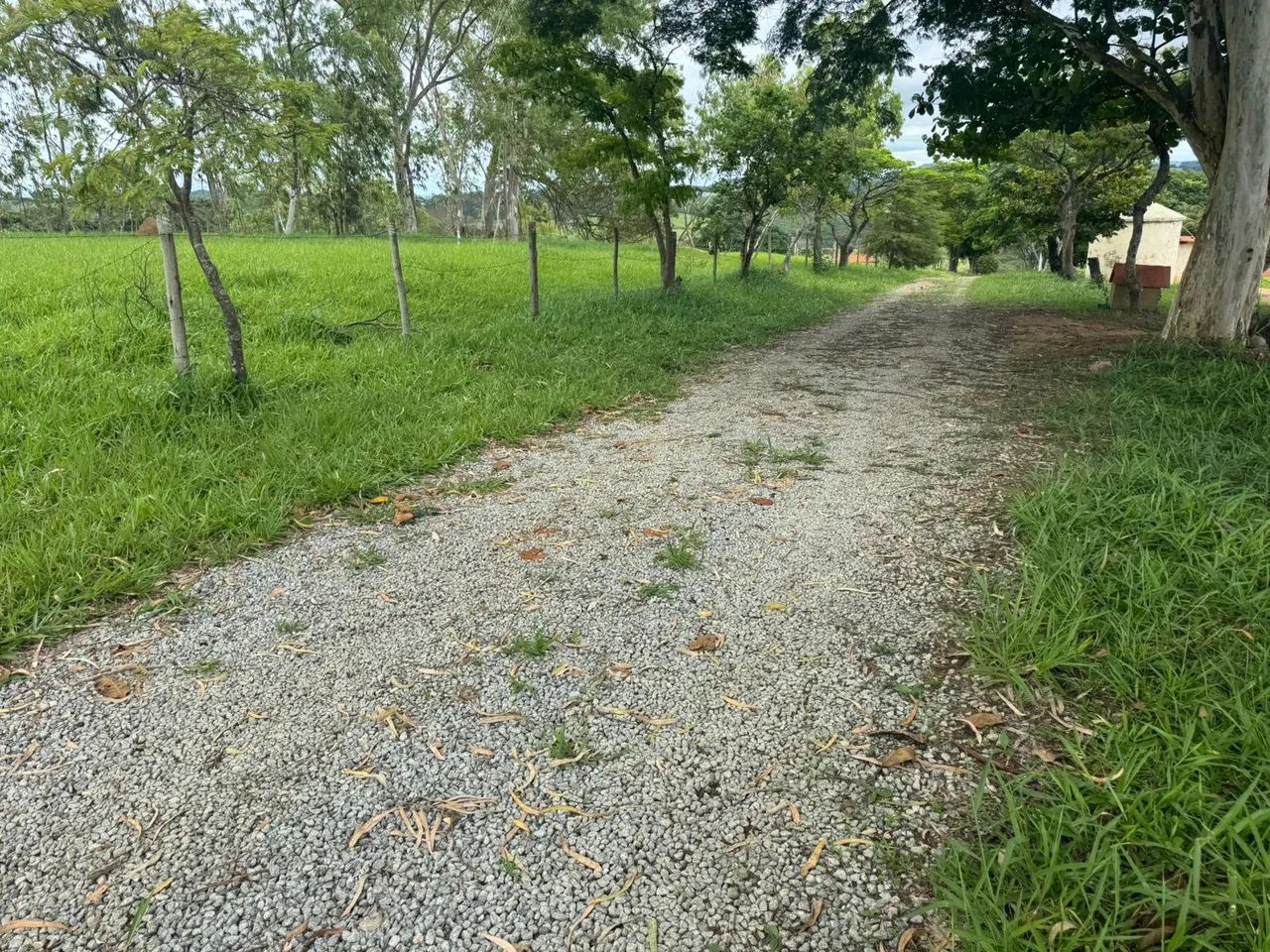 Terreno de 5 mil metros em itaguara  - Foto 5