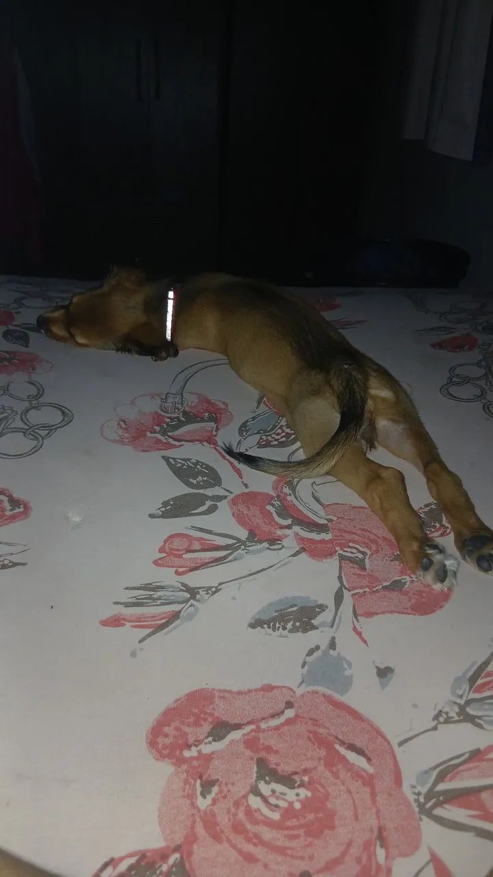 Doação  - Foto 2
