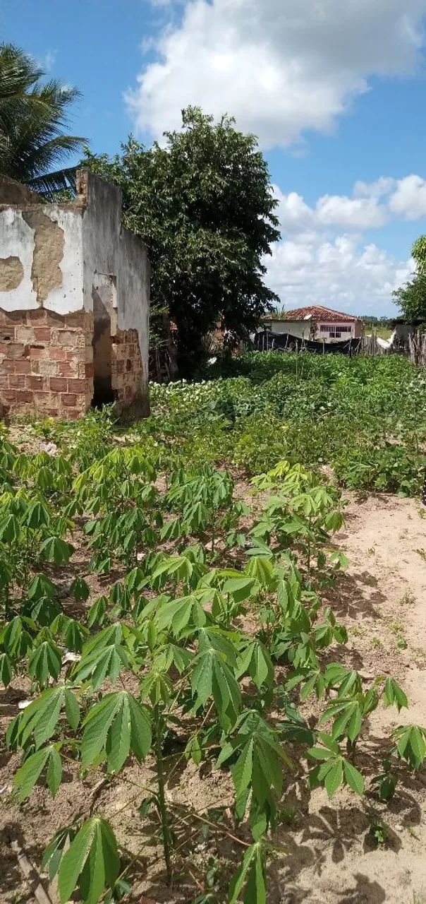 Vende-se terreno - Foto 2