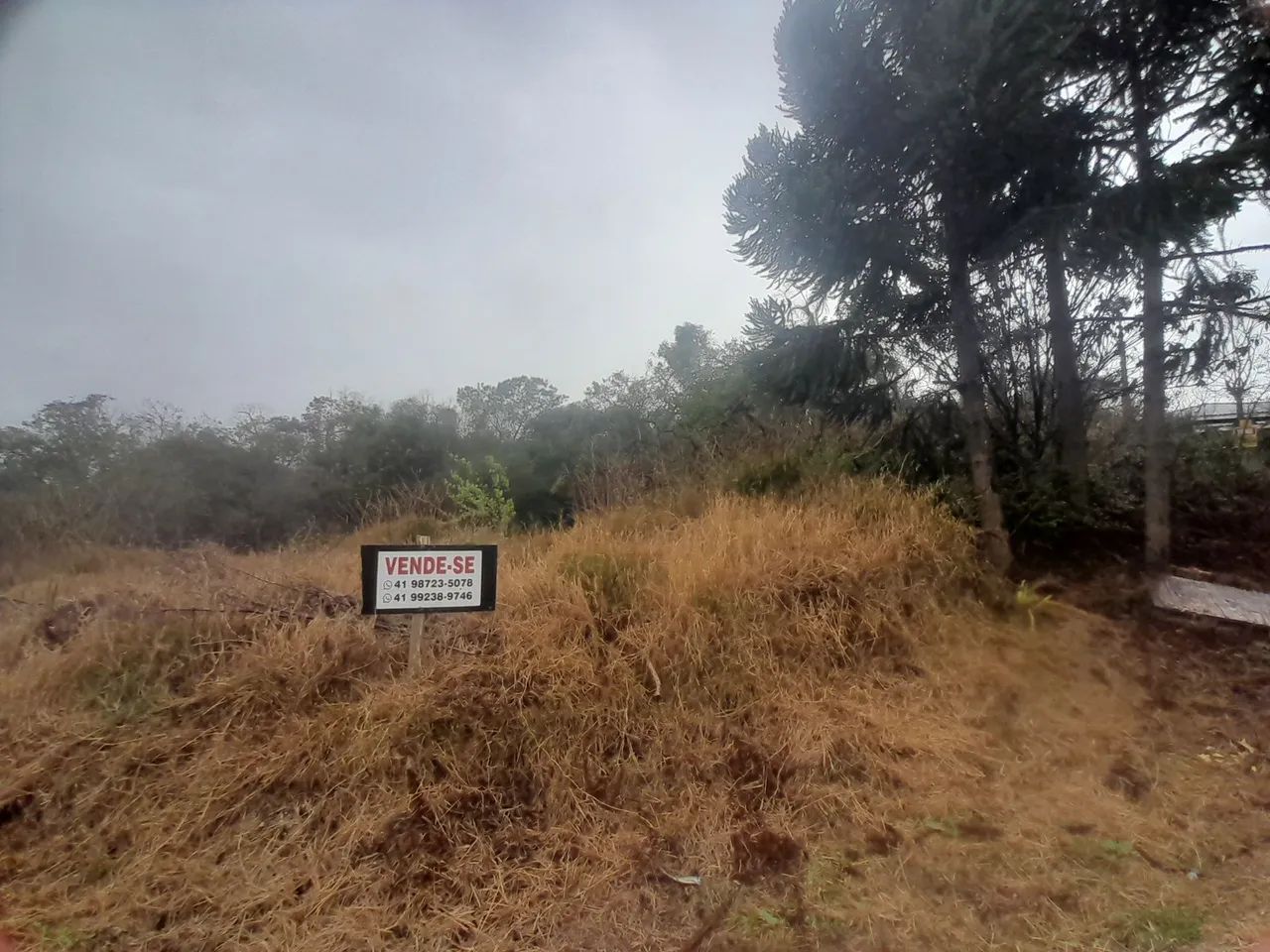 Excelente Terreno em Balsa Nova  - Foto 3