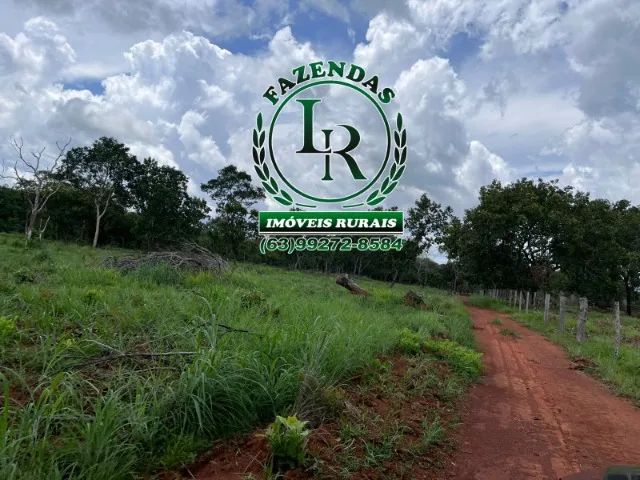 Fazenda 30 Alqueires ou seja 145 Hectares 