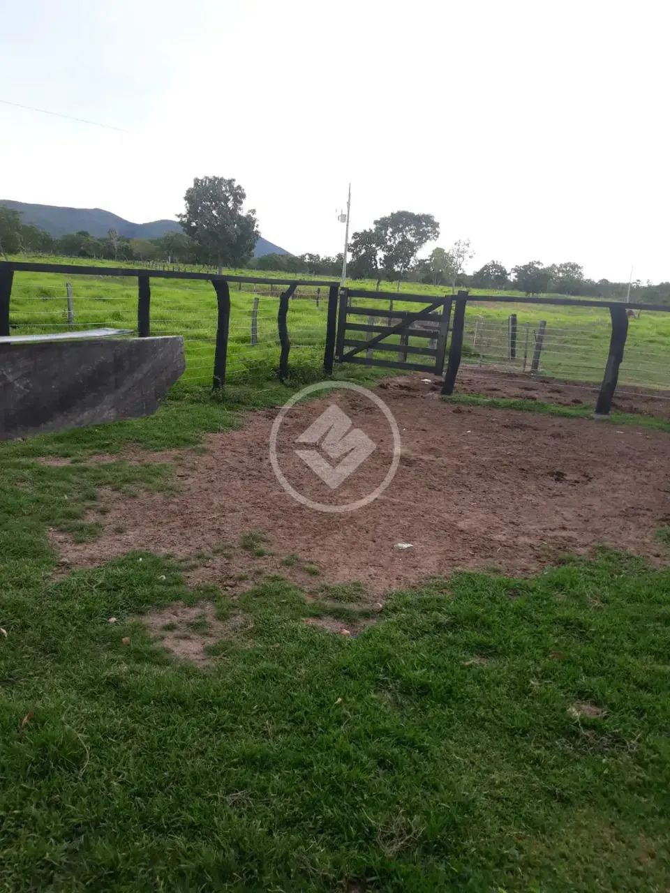 FAZENDA EM SÃO SALVADOR NO TOCANTINS codigo: 153009 - Foto 4