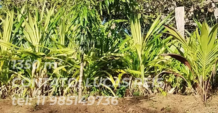 Terreno de 1.350m2 - Foto 2